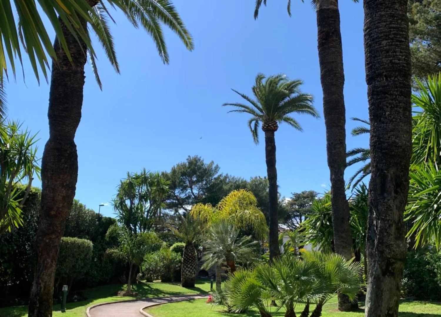 Appartement Front De Mer, 80M2 Cannes Apartment