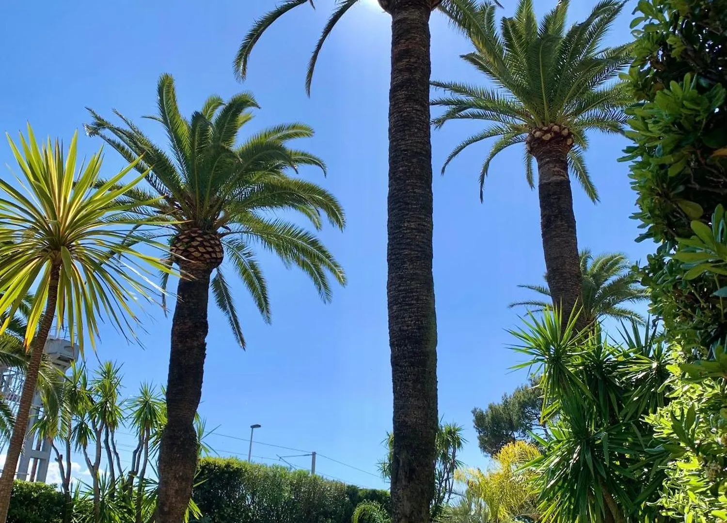 Appartement Front De Mer, 80M2 Cannes